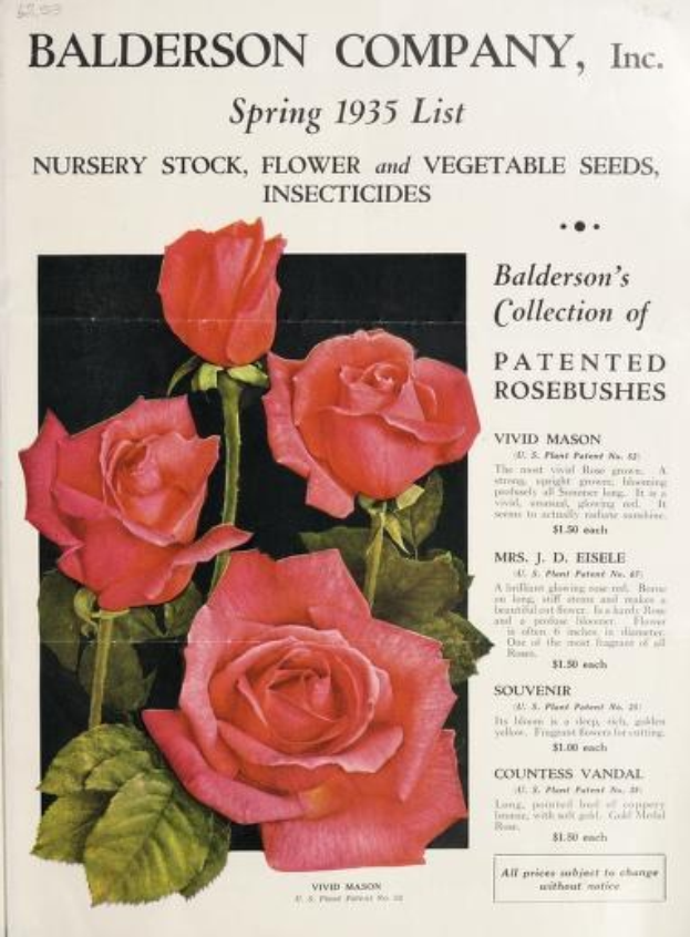Papier aus dem Frühjahrskatalog 1935 der Baldwin Company, Inc. mit pinken Rosen und Blättern, das Sortiment an Zierpflanzen, Samen und Insektiziden auflistet.