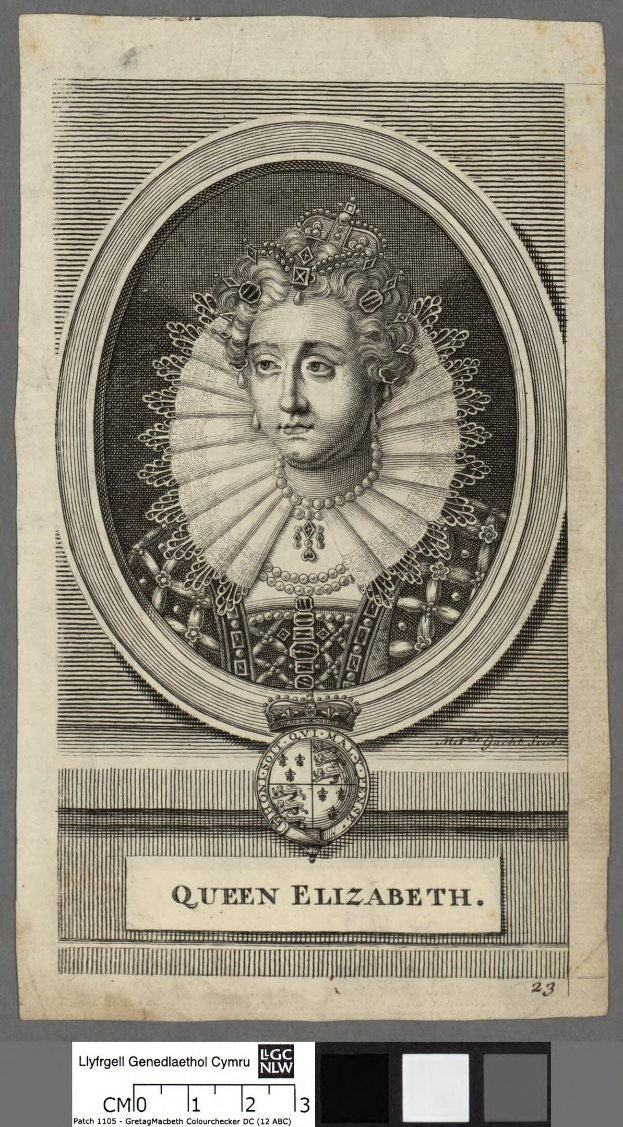 Porträt der Queen Elizabeth I. von England in königlicher Kleidung mit Krone und Tiara, grauer Hintergrund, feine Gesichtszüge und ein seitlich geneigter Blick.