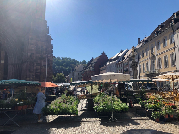 Ein lebendiger Markt im alten Stadtzentrum von Heidelberg mit Menschen, Tischen voller Blumentöpfe, Schirmen und Gebäuden unter einem klaren blauen Himmel.