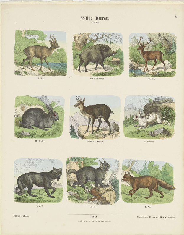 Ein Buchumschlag mit Illustrationen von Wildtieren wie einem Reh und einem Kaninchen, mit sichtbarem Text auf dem Papier.