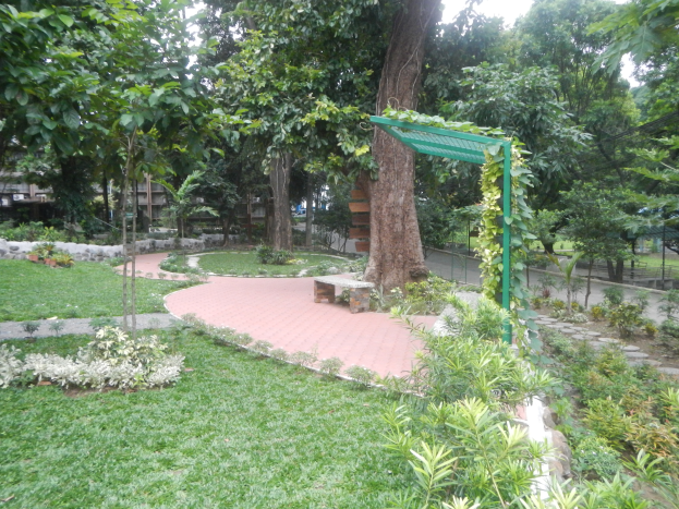 Ein üppiger grüner Park mit Bäumen, Pflanzen, Gras, einem Weg, einer Bank, einem Schuppen, Pfählen, einem Zaun und Gebäuden im Hintergrund unter einem klaren blauen Himmel.