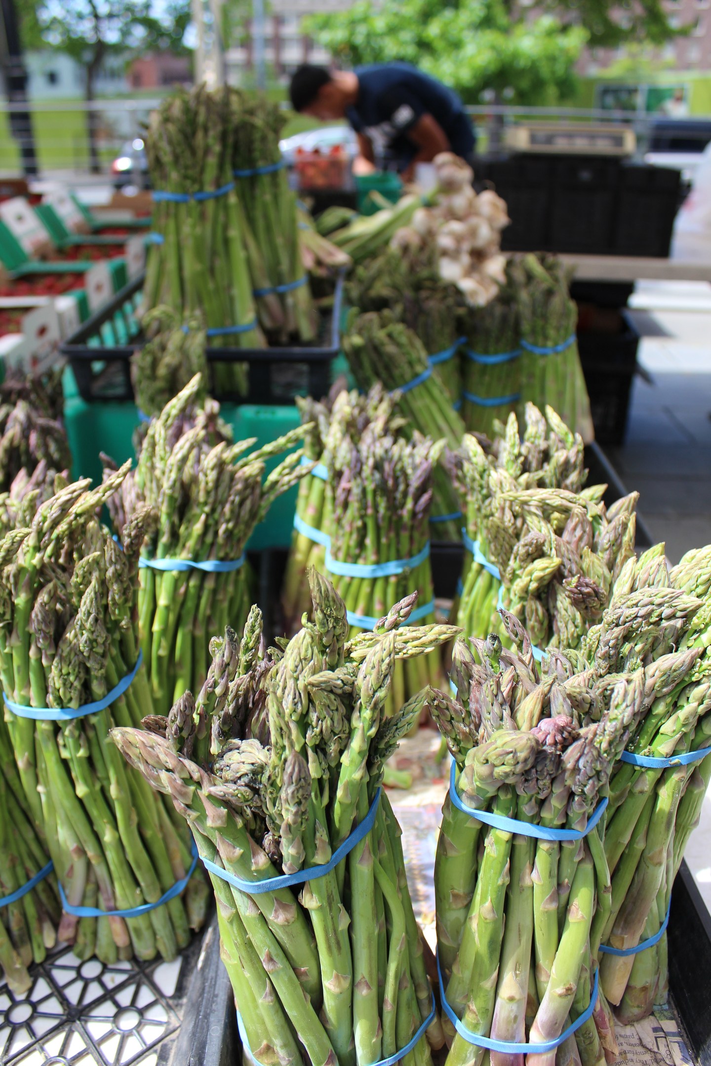 Frische Spargelbündel auf einem Bauernmarkt, mit einer Person im Hintergrund vor Bäumen, Gebäuden und einem klaren blauen Himmel.
