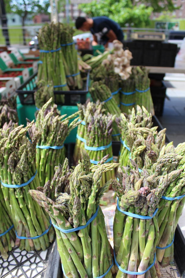 Frische Spargelbündel auf einem Bauernmarkt, mit einer Person im Hintergrund vor Bäumen, Gebäuden und einem klaren blauen Himmel.