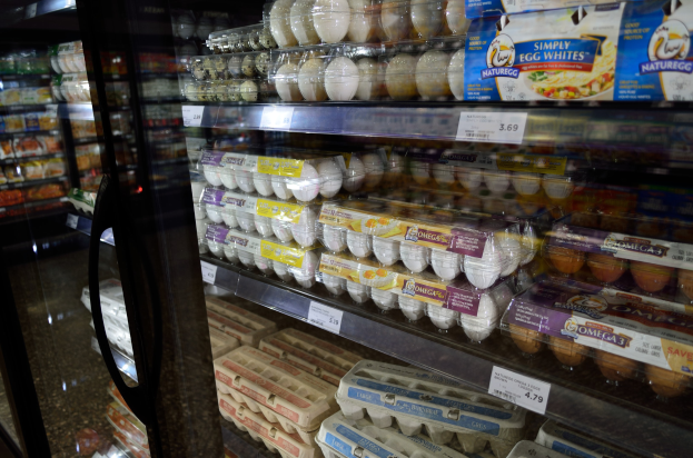 Ein Supermarktkühlschrank voller ordentlich arrangierter Eier, jedes mit einem Preisschild, im Vordergrund vor einem leicht unscharfen Hintergrund.