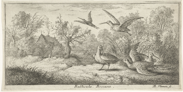 Waldlandschaft mit einer Gruppe von Vögeln, die über Bäume, Pflanzen, Gras und Häuser fliegen; Text unten.